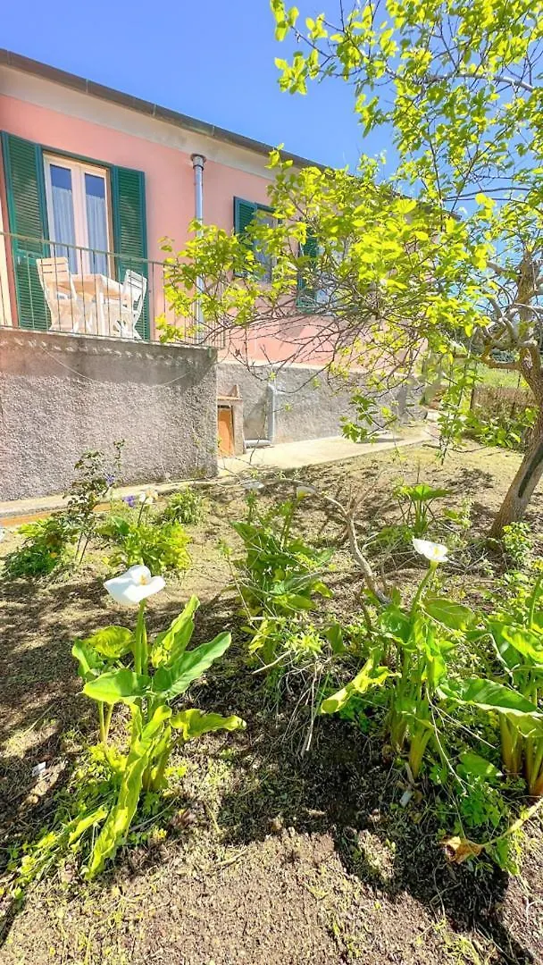 Daire Appartamenti Viticcio Aurora E Fiorita - Goelba Portoferraio