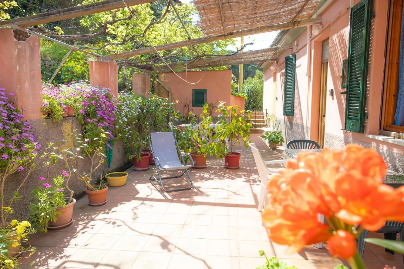 Appartamenti Viticcio Aurora E Fiorita - Goelba Portoferraio Italia