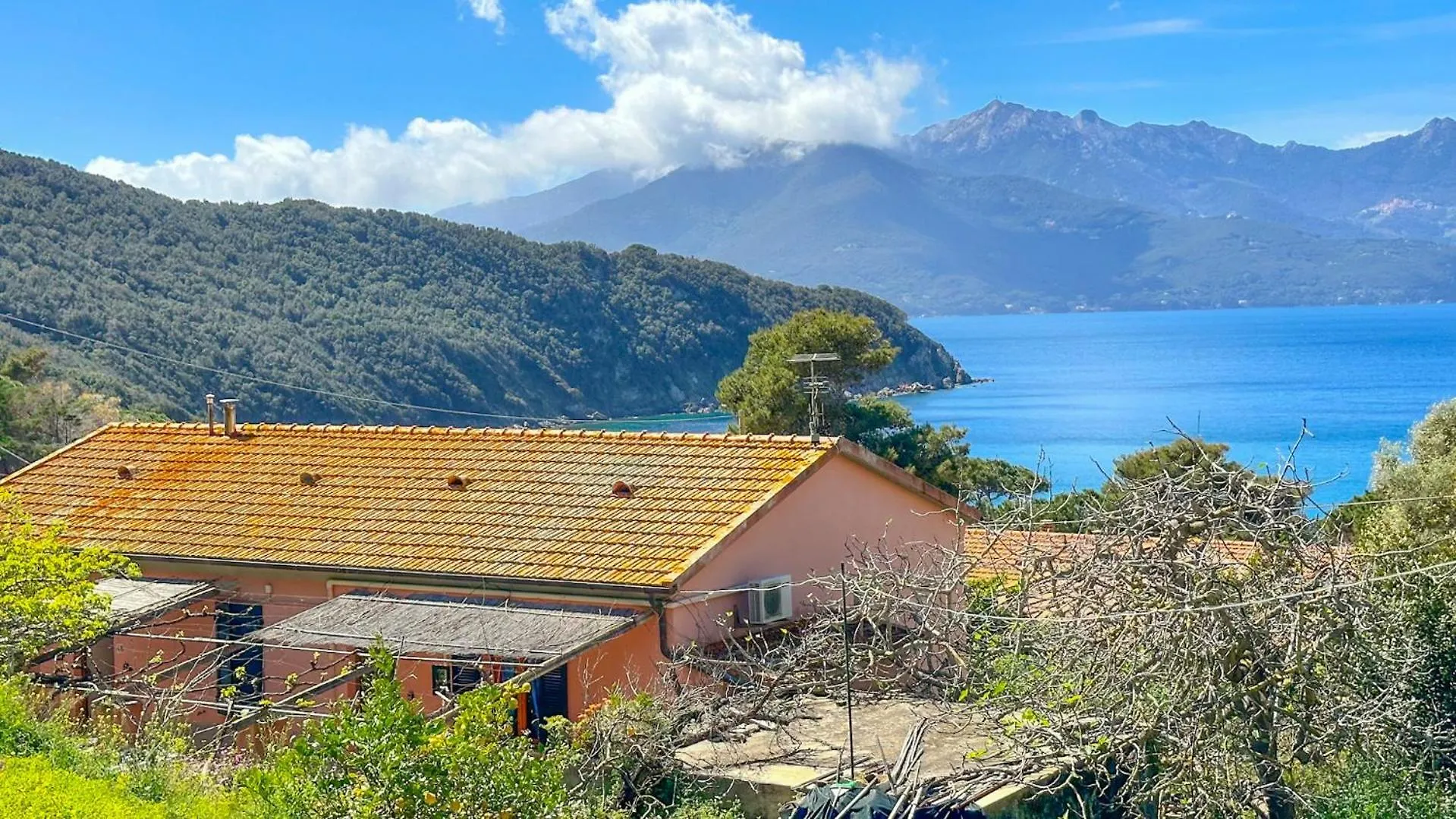 Appartamenti Viticcio Aurora E Fiorita - Goelba Portoferraio